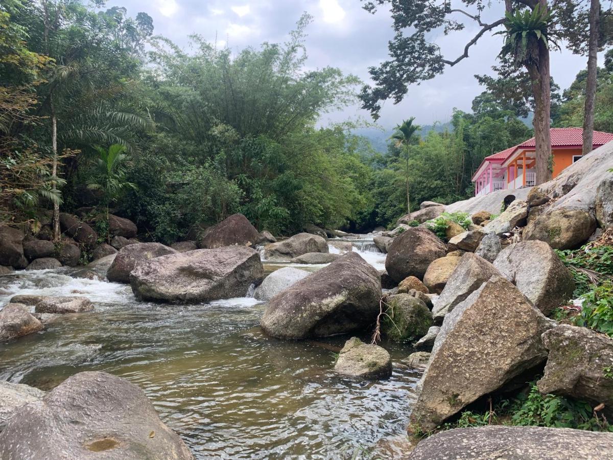 Chalet Latip D'Ayer Itam Kampong Ayer Hitam (Perak) Bagian luar foto